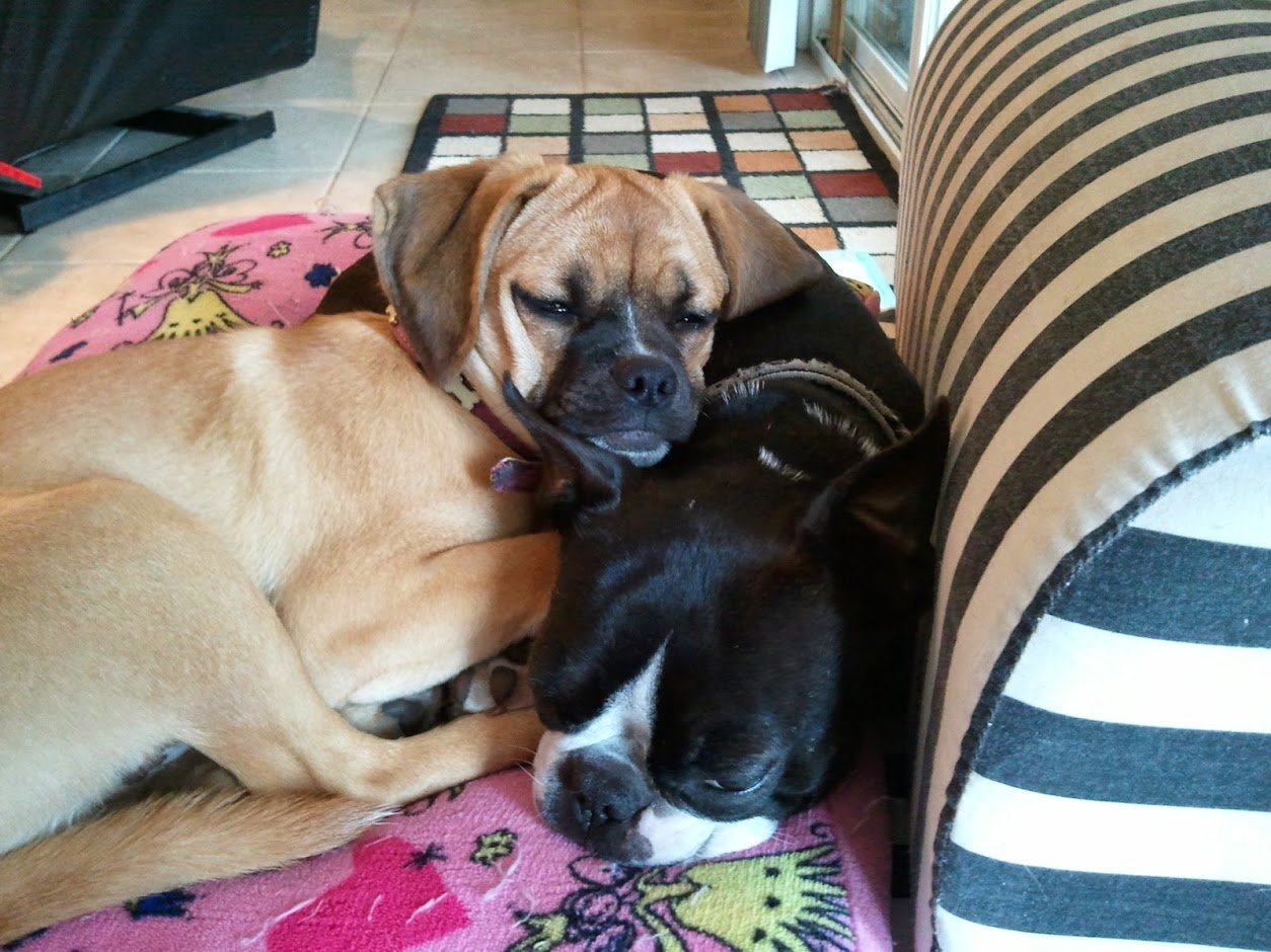 2011-01-18 12.17.36.jpg