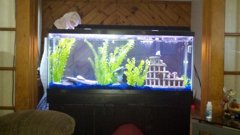 2011-03-07_17-19-05_833.jpg