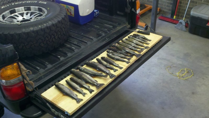 2011-04-23_13-53-11_659.jpg