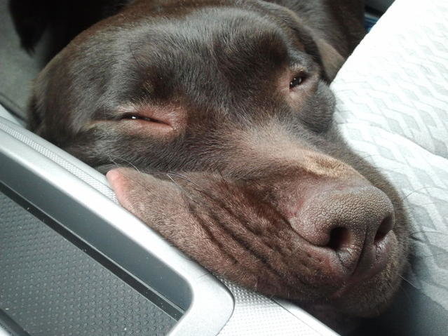 2011-06-25 12.04.21.jpg
