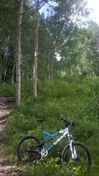 2011-07-14_15-47-35_870.jpg