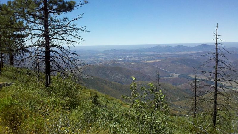 2011-07-23_10-36-59_255.jpg