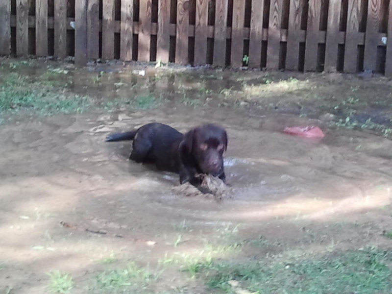 2011-08-21 17.23.41.jpg