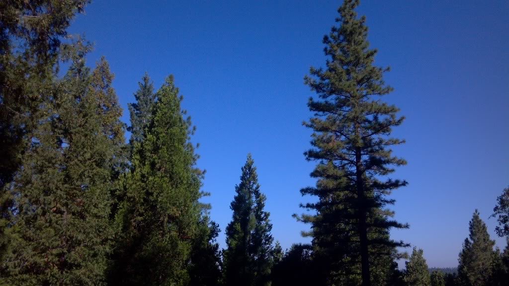 2011-08-28_09-10-25_728_825b1d3089eecd90e100f1b922dd21ff942bc7bd.jpg