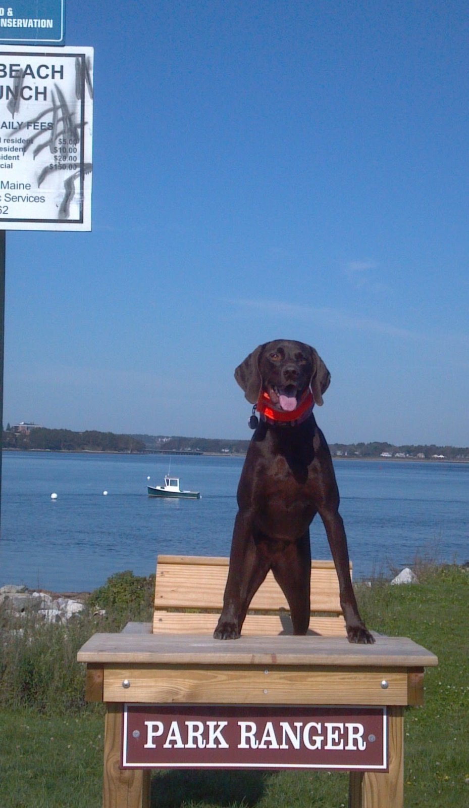 2011-10-08_12-55-47_460_Original.jpg