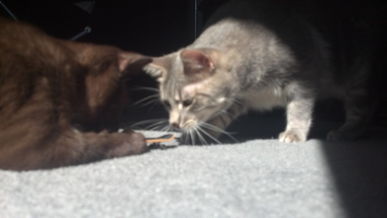 2011-10-08_14-34-46_431.jpg