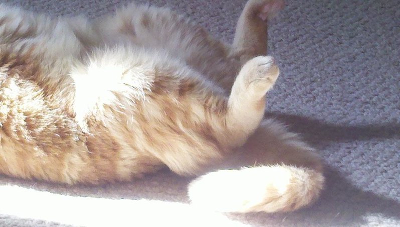 2011-11-13_12-33-17_137.jpg