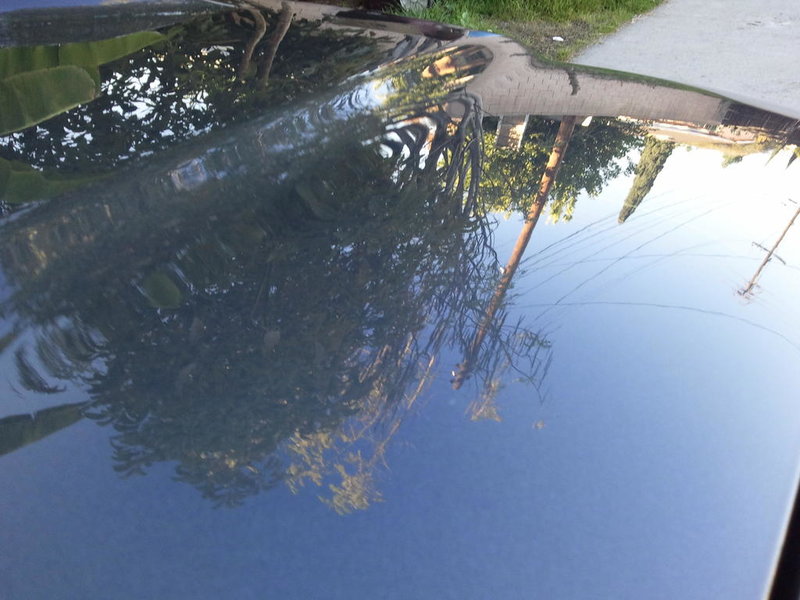 2011-11-26 15.36.34.jpg