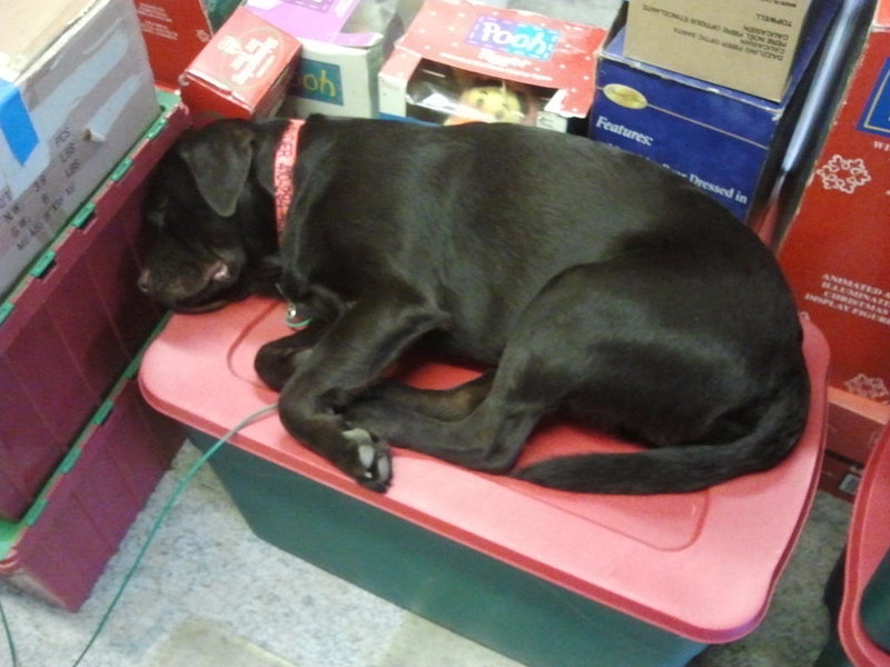 2011-11-27 16.36.38.jpg