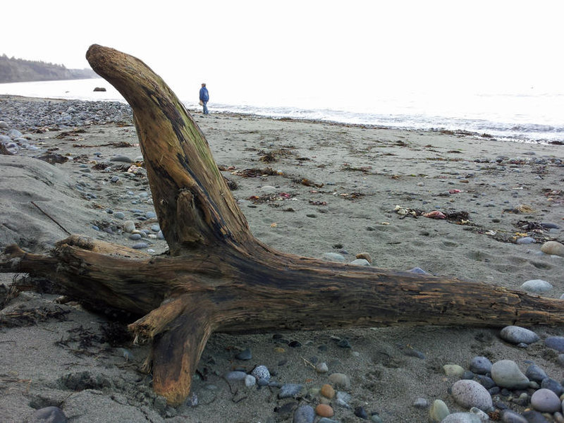20110123BeachWalk 071E.jpg