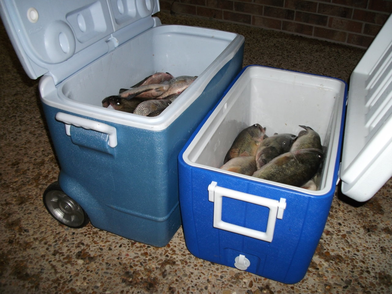 20110302,3 - 32.jpg