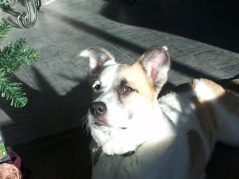 2012-01-03 13.25.52.jpg