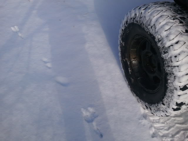 2012-01-21104116_3d26ca7bd959eec511c4880784a85139ff869d93.jpg