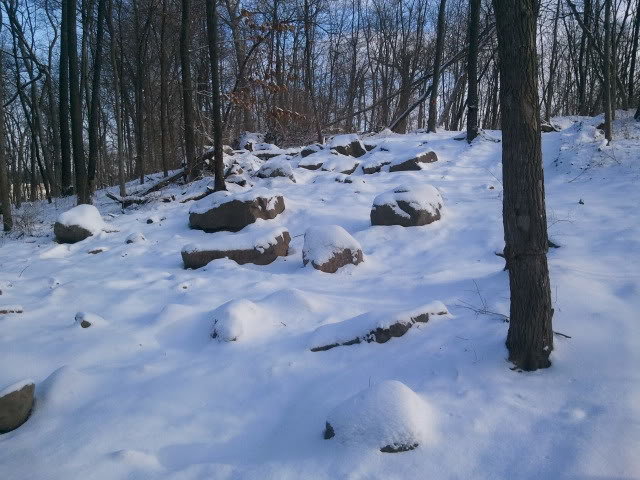 2012-01-21104422_85d54112105c66996ffac86fcb0704661a63c348.jpg