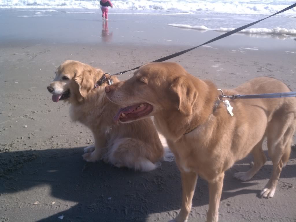 2012-02-04135257_788137a956164294bb3eeaaa4e85b11a73bbda02.jpg