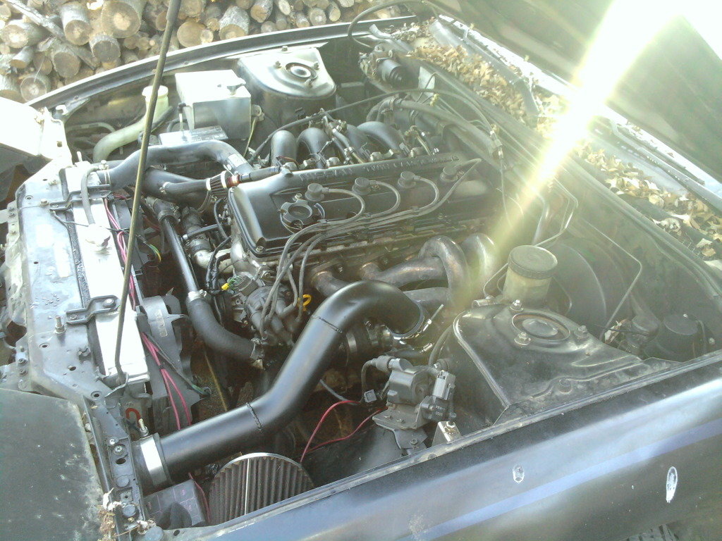 2012-03-01155634.jpg