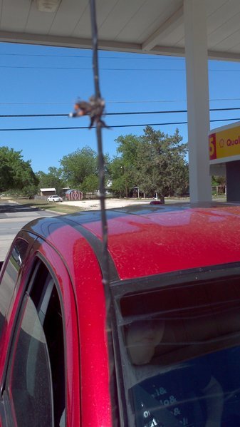 2012-04-22_15-41-47_526.jpg