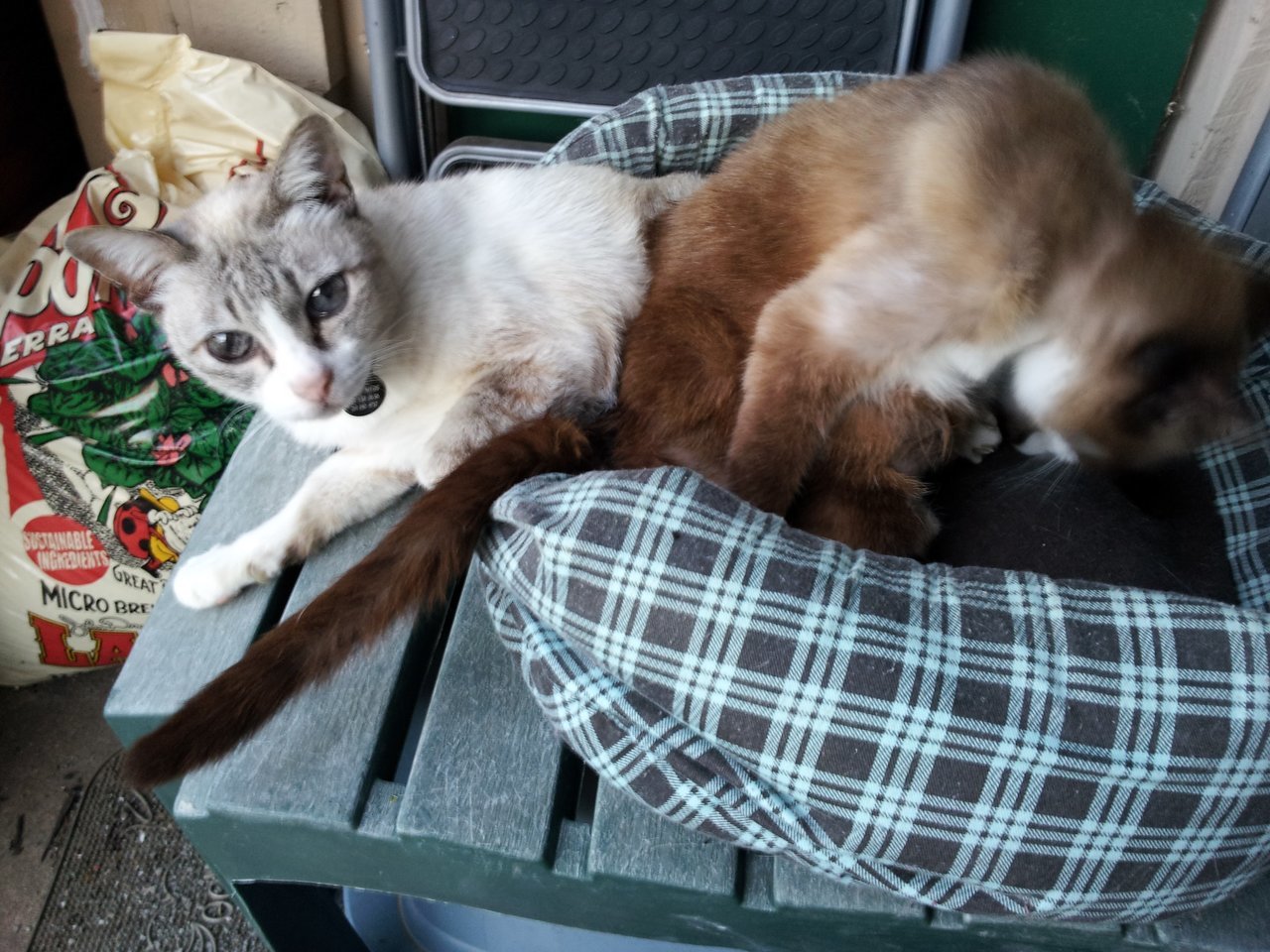 2012-04-25 20.08.49.jpg