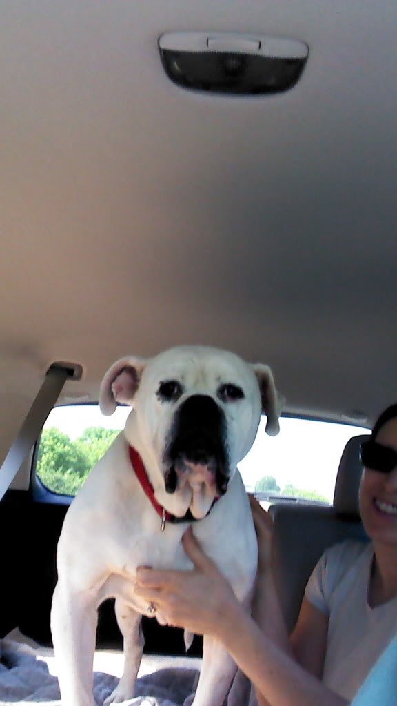 2012-05-28_10-02-33_515_20dd78dcf5f813c97a7dc0a3183b82c53776eed5.jpg