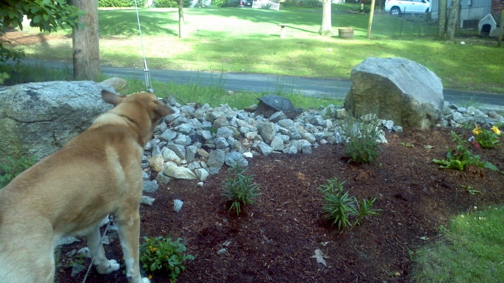 2012-06-07_17-44-14_146_e7185ba85cd1aed1278369debbf100f009709aa7.jpg