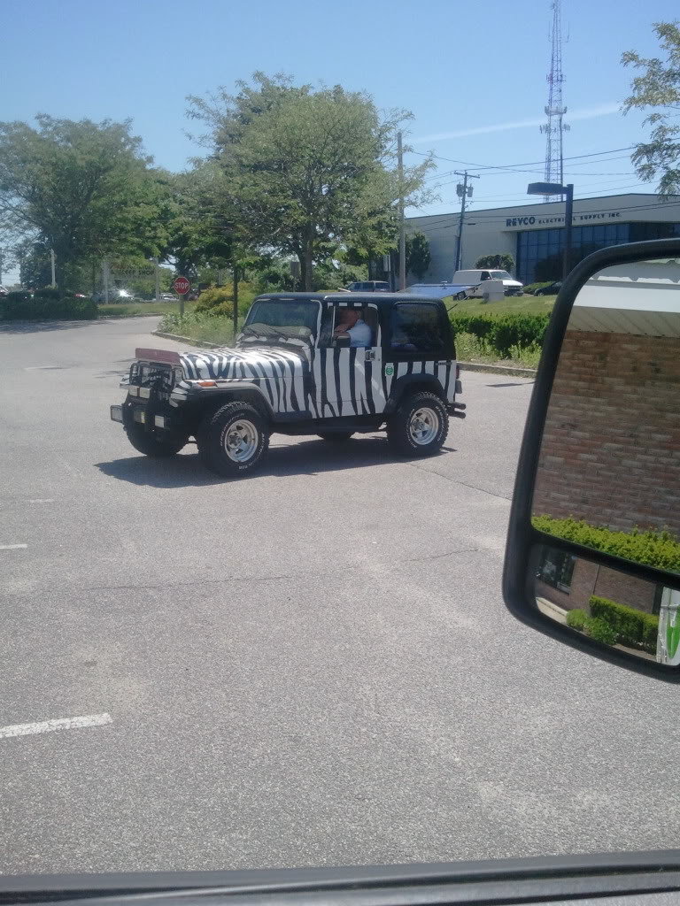 2012-06-08111717_04d058bd8fb72294b4d227bc0d5dc019bdfe93cd.jpg