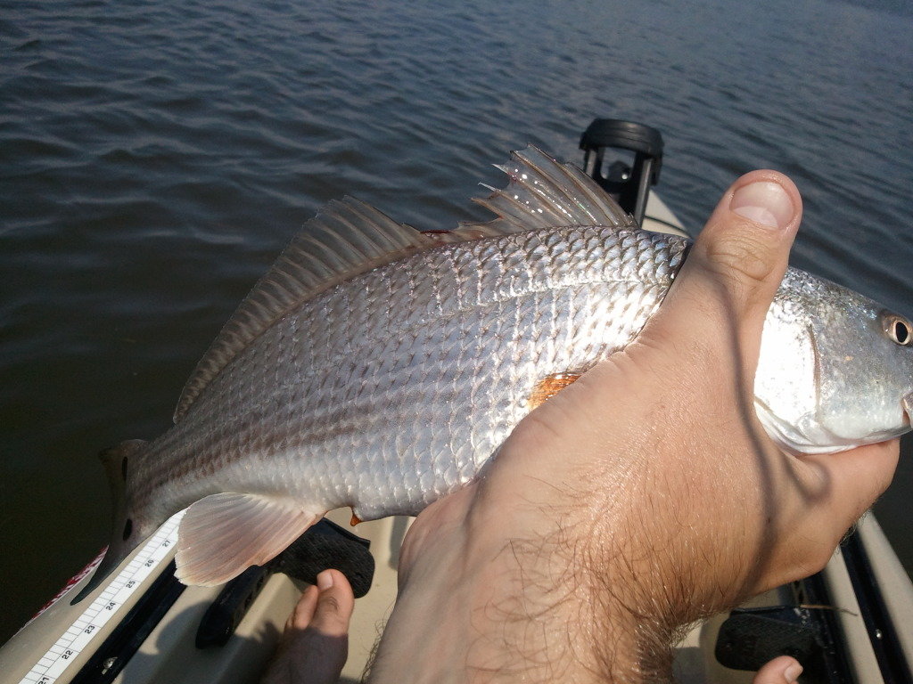 Surf Fishing Basket 