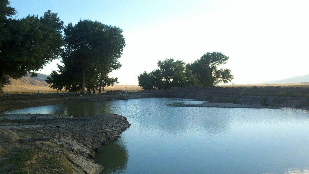 2012-09-07_18-41-40_305_7457b28e473c47bfba5f18e8114a581b51570f30.jpg