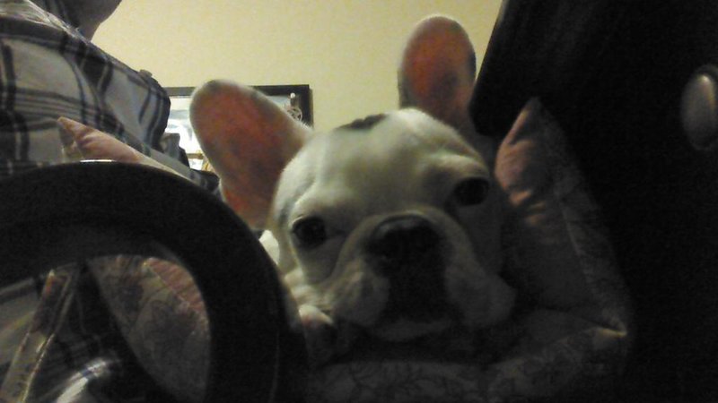 2012-11-28_20-05-19_389.jpg