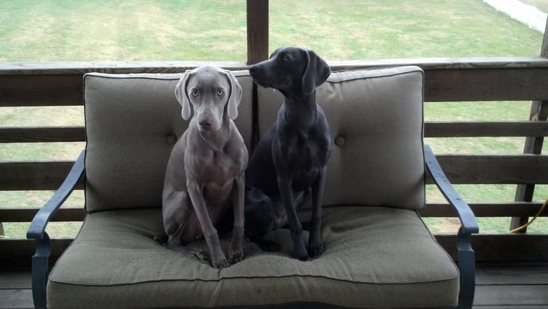 2012-12-25_09-15-28_272.jpg