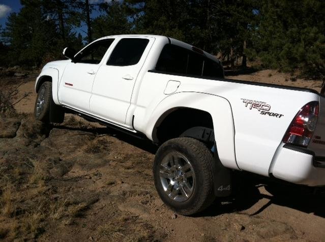 2012 taco.jpg