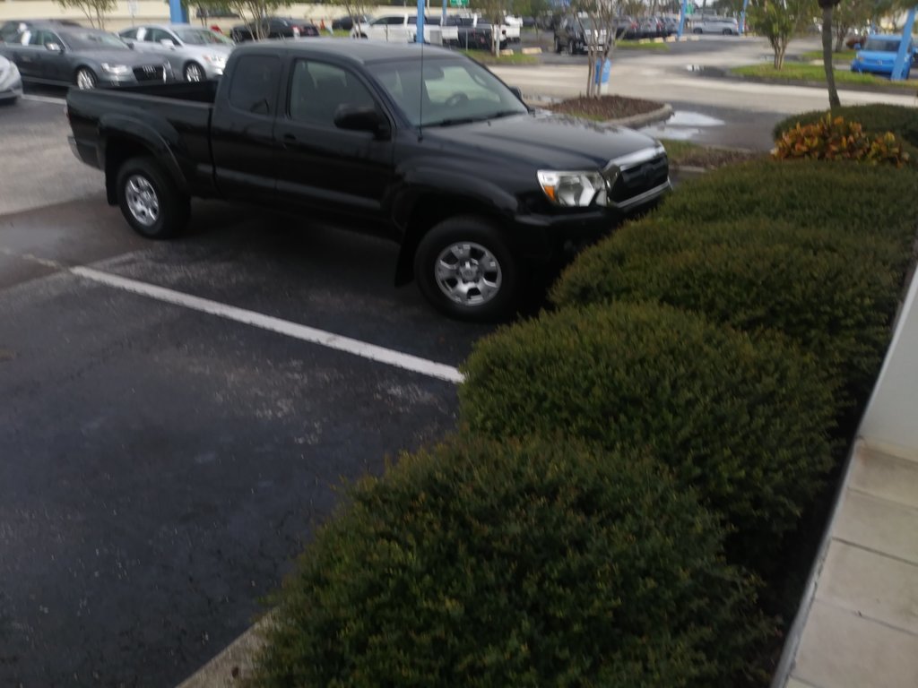2012 TACO.jpg