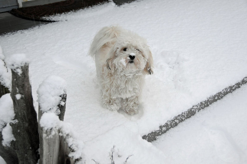 20120115 010E.jpg