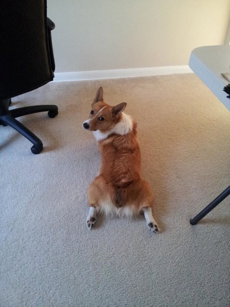 20120115_141930.jpg