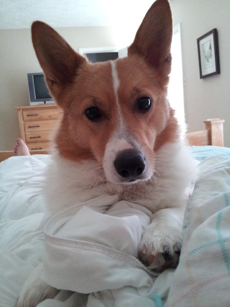 20120415_094341.jpg