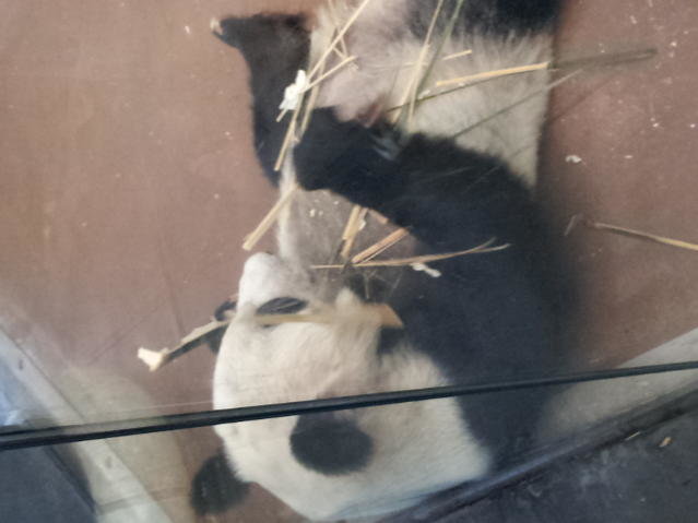 20120525_165556.jpg