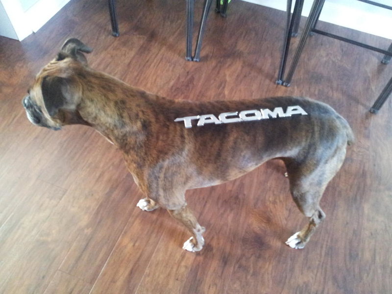 20120830_115258.jpg