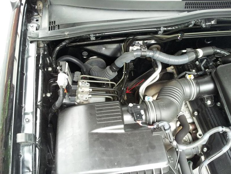 20120903_135406.jpg