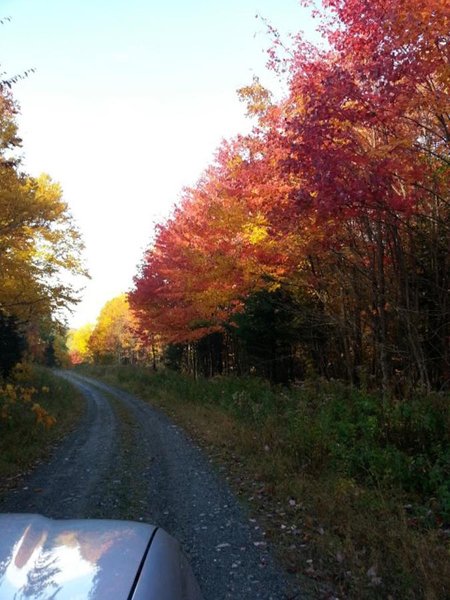 20121003_091417.jpg