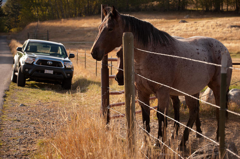 20121009-Montana--294.jpg