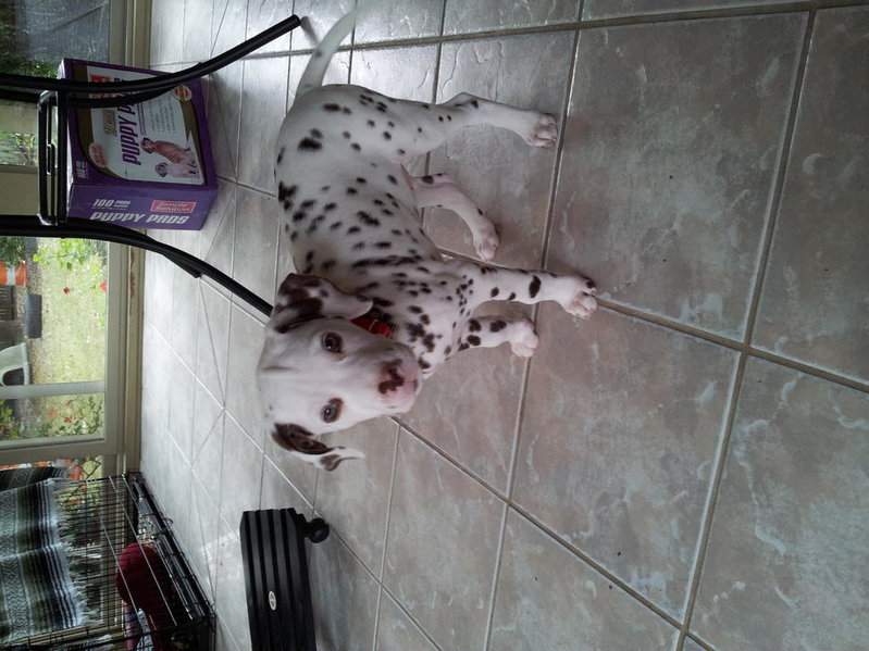 20121017_091217.jpg