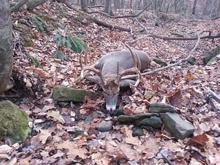 20121125_082109.jpg