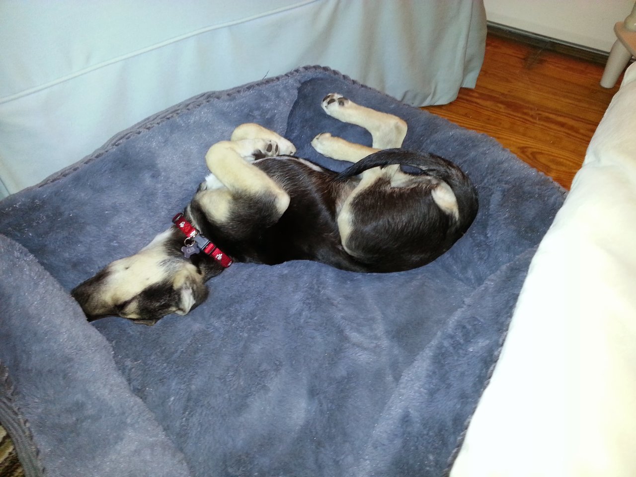 20121211_205802.jpg