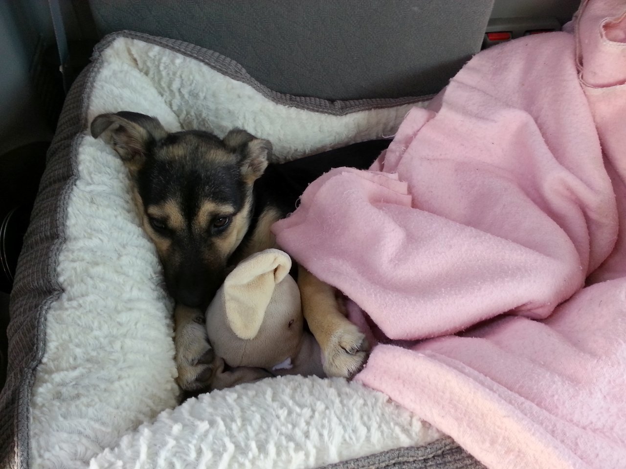 20121213_090936.jpg