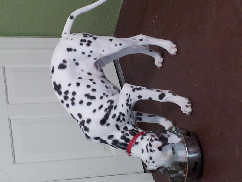 20121218_194550.jpg