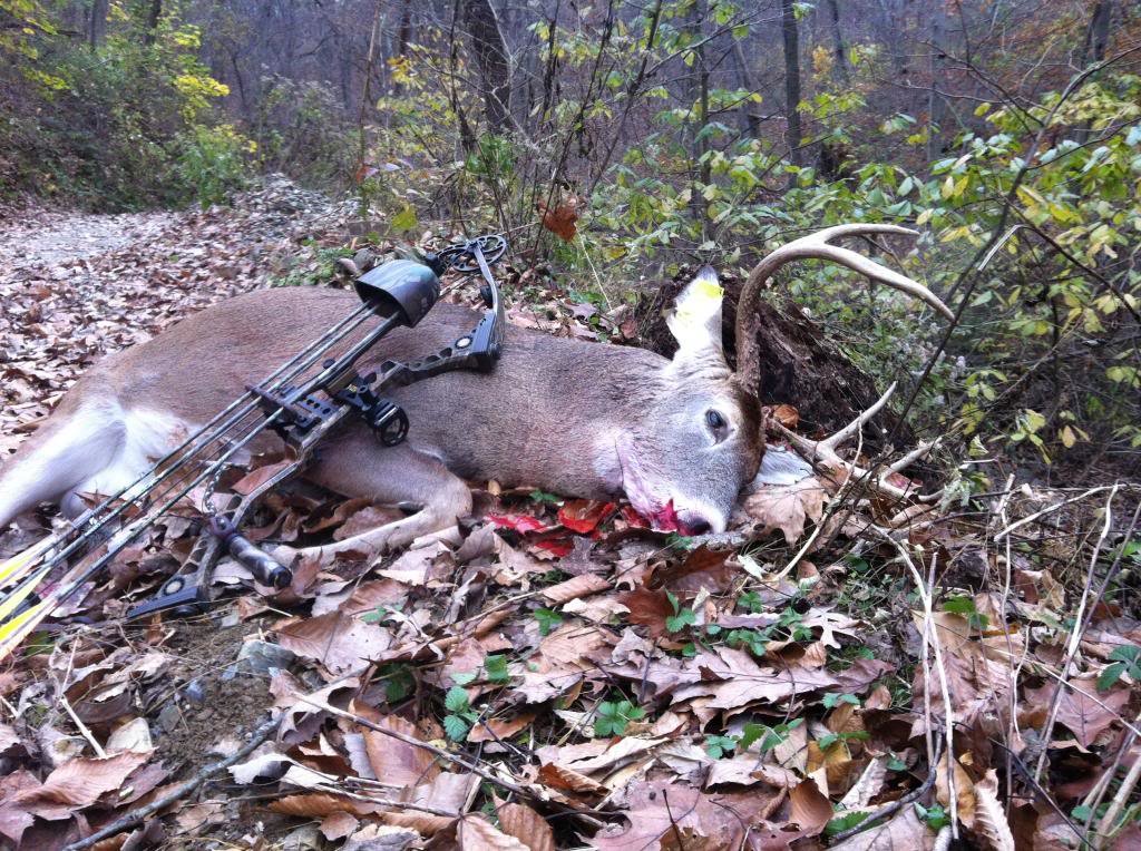 2012Buck-09_cbdff5770773935c9558cddcd5595fd0c74d4e5d.jpg