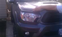 2012lids_a5f8dd6a0792330ff49e78baa9c4b061bea6eed2.jpg