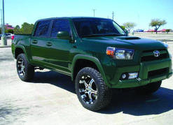 2012TACO-1forest.jpg