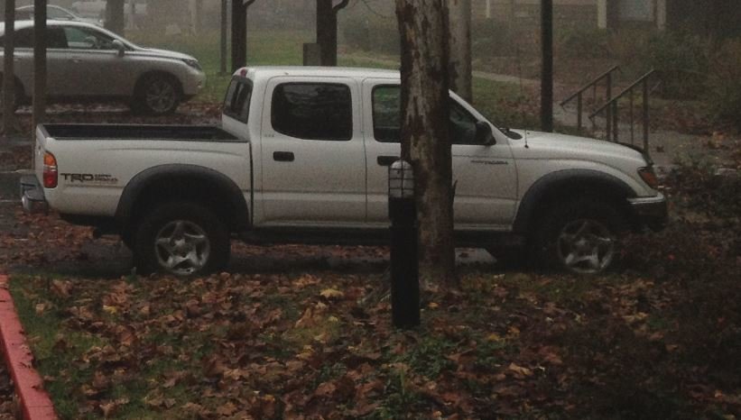 2012taco.jpg