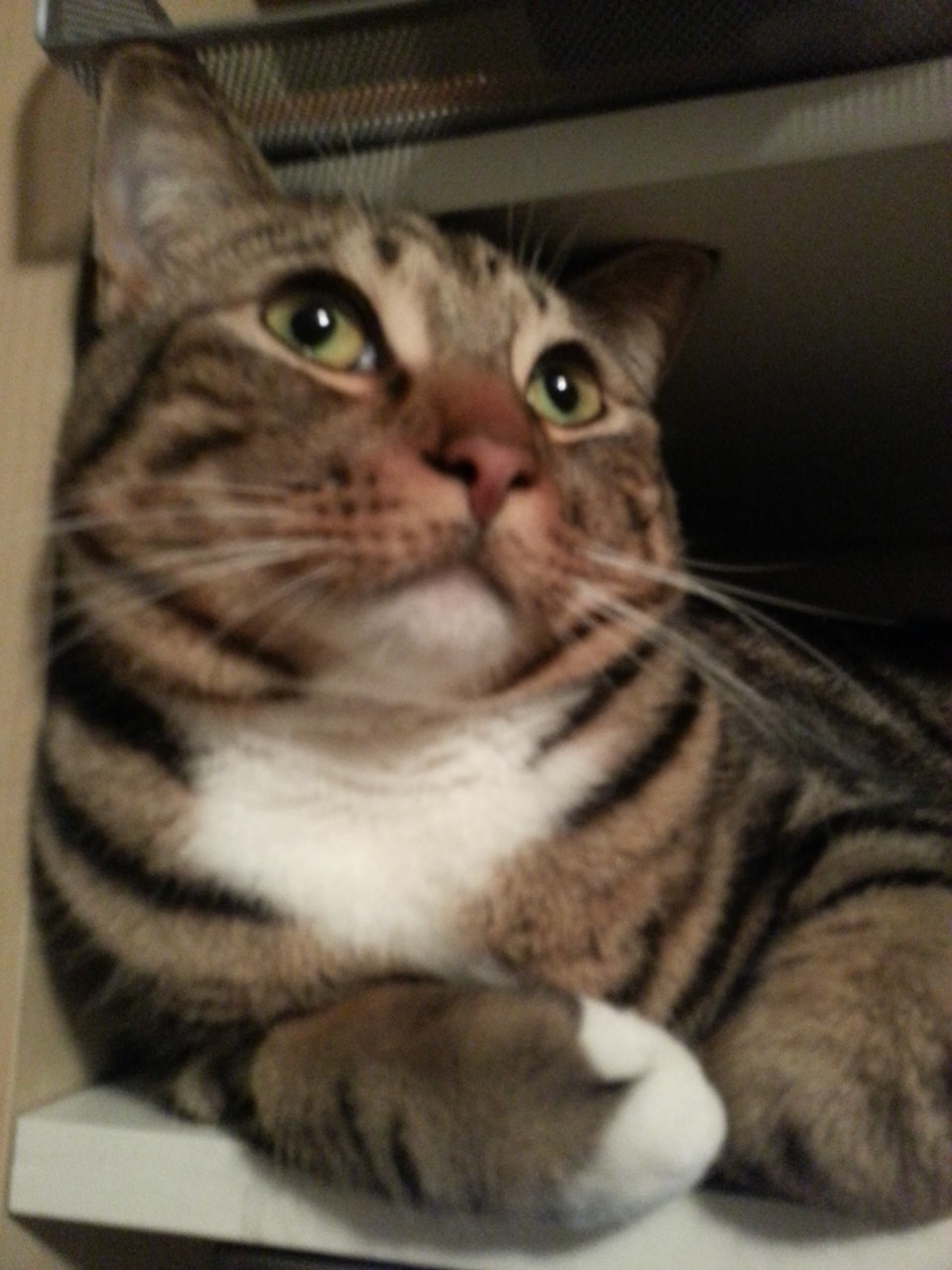 2013-02-01 22.05.05.jpg