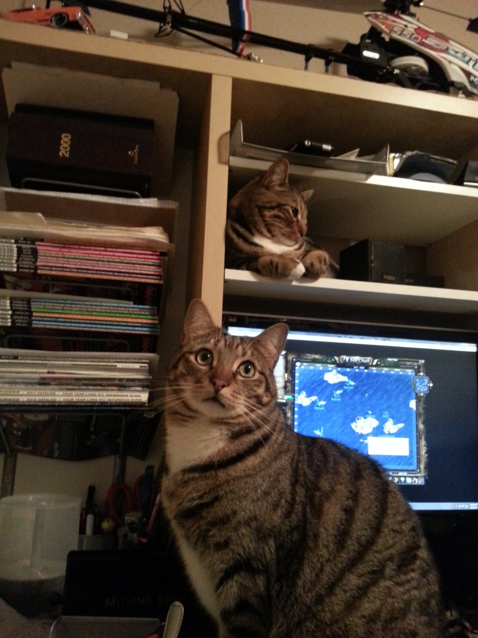 2013-02-01 22.05.56.jpg